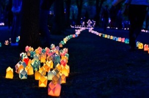 Light-festival-Cluj